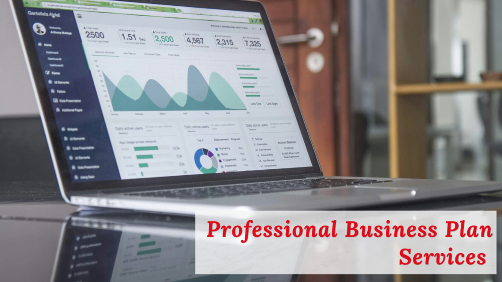 Professional Business Plan Services